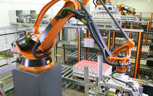 Hệ thống robot bốc xếp hàng tự động